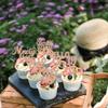 30PCS 95th Birthday Cupcake Toppers Glitter Nighty Five Happy 95 Straight Outta 1931 Cupcake Picks for Cheers to 95 Fabulous 95th Birthday Anniversary Party Cake Decorations Supplies Rose Gold view 3