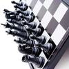 Multipurpose Go Magnetic Travel Chess Set 9.84" with Folding Chess Board Educational Toys for Kids and Adults view 3