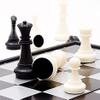 Multipurpose Go Magnetic Travel Chess Set 9.84" with Folding Chess Board Educational Toys for Kids and Adults view 4
