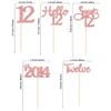 Gyufise 30 Pack Rose Gold Glitter 12th Birthday Cupcake Toppers Hello Sweet 12 Twelve Since 2013 Cupcake Picks for 12th Birthday Party Cake Decorations Supplies view 2