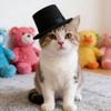 LABRIMP Miniature Top Hats for DIY Crafts 2 Pcs Small Doll Costume Accessories Felt Caps 5.31X5.31X2.75 Inch for Handmade Doll Outfits Snowman Decoration view 3