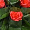 SUMAG Blooming Rose Bush (20 Flowers, Remote Control, Battery Version) Magic Tricks Flower Appearing Stage Party Wedding Props Funny Magic Illusion Gimmick view 4