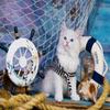1000 Pieces Jigsaw Puzzle for Adults  Matte Finish, Soft Touch, Easy to Assemble, Tight Fit, Vivid Colors, Missing Pieces Service  Cute White Cat in Picturesque Aquatic Scene by ENJOY Puzzle view 2