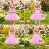 DENCTORAM Girls Tutu Dress Easter Bunny Costume Hawaiian Tutu Dress Hula Princess Dresses with Headband for Kids view 4