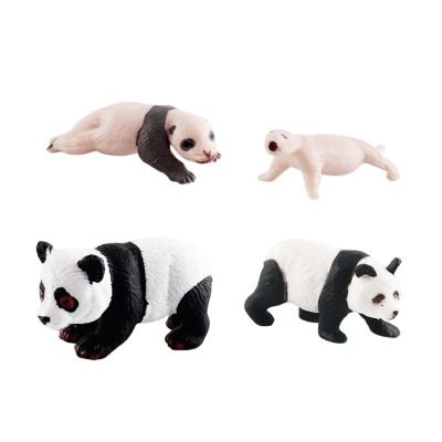 Esquirla Life Cycle Figurines 4 Stages of Panda Science Toy Panda Model for Children, Style C