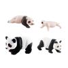 Esquirla Life Cycle Figurines 4 Stages of Panda Science Toy Panda Model for Children, Style C view 3