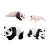Esquirla Life Cycle Figurines 4 Stages of Panda Science Toy Panda Model for Children, Style C view 4