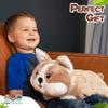 Funpanions Weighted Stuffed Animals  4LB Cute Plush for Adults, Teens & Kids - Large Corgi Dog, Machine Washable w/Removable Inner Weight view 4