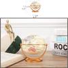 Globe 720 Rotation World Globe with PVC Stand Unique Small Desktop Antique Educational World Globe for School Home and Office Globe for Decor view 3