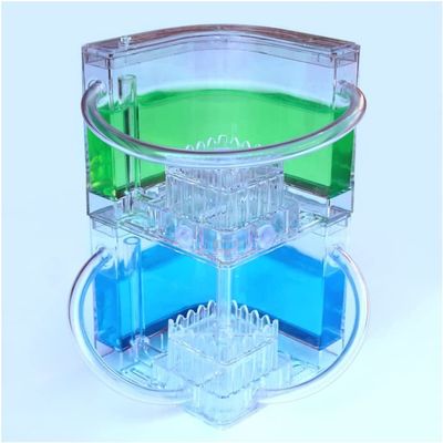 DAPERCI Ant Farm Castle Ant Castle 2 Layers Transparent Ant Farm House Kids and Adult Science Science Educational Toys Workshop Antterrarium Ant Habitat