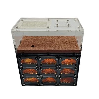 DAPERCI Ant Farm Castle Ant Castle Concrete W/USB Charging Cable Ant Farm House Clear Layered Workshop Ant Terrarium Educational Tools Gift Ant Habitat