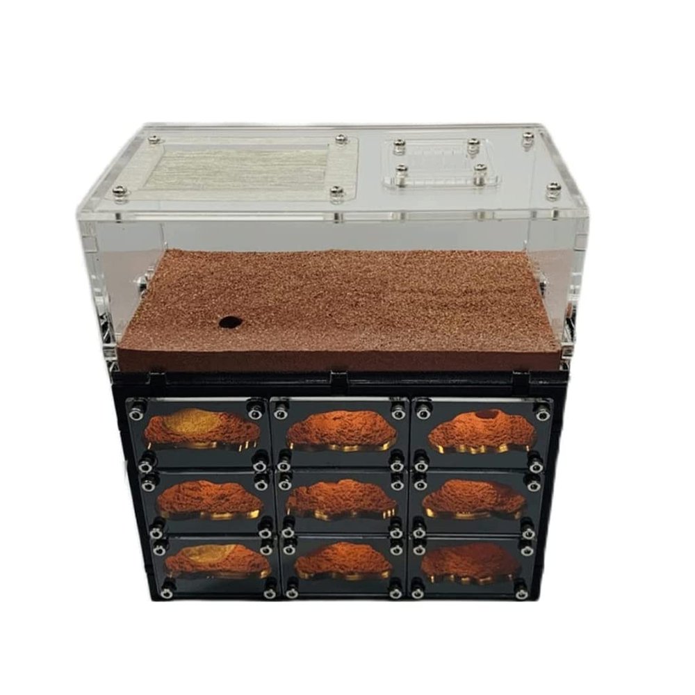 DAPERCI Ant Farm Castle Ant Castle Concrete W/USB Charging Cable Ant Farm House Clear Layered Workshop Ant Terrarium Educational Tools Gift Ant Habitat
