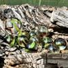 House of Marbles Adventurers Net Bag of Marbles - 21-Piece Camouflage Glass Marble Set with 1 Shooter & 20 Player Marbles for Games, Marble Runs, Collecting & Gifts view 2