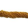48" 8mm Round Metallic Gold Mardi Gras Beads  Set of 12 Necklaces view 3