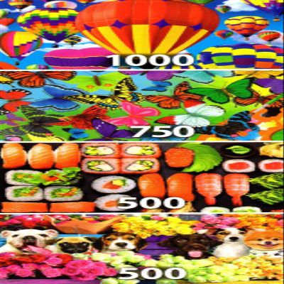 4 Puzzle Set - Colorful Hor Air Balloons Flying 1000 Piece, Butterfly Palette 750 Piece, Sushi Time and Flower Market Pups 500 Piece Puzzles
