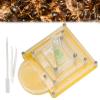 Acrylic Breeding Box, Watching Feeding Case with Pet Humidification Zone for Children view 2