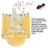 Acrylic Breeding Box, Watching Feeding Case with Pet Humidification Zone for Children view 4