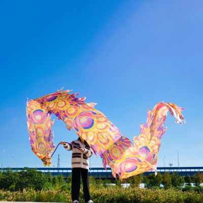 LXLZYXSF Dragon Dance Ribbon Backyard Flinging Streamer Peacocks Style Flowy Spinning & Shaking Poi, 8 10 Meters, Outdoor Park Garden Lawn (Size : 8m/26ft Long)