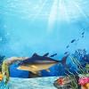 Amagogo Sea Life Marine Animals Fish Model Fish Tank Landscape Action Figures Collection Lifelike Animal Figurines for Kids Birthday Gifts Ornaments, Style D view 4