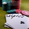 Plastic Poker Chips 300 Poker Chip Set with Storage Box,Denomination Printed Casino Style Chip for Texas Home Game Nights,Holdem Poker Nights,Blackjack or Roulette Games,Casino Parties (300 pcs) view 3