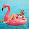 Inflatable Unicorn Flamingo Pool Floats - Jasonwell 2 Pack Pool Floaties Inflatables Rafts for Swimming Pool Tubes for Floating Lake Beach Floaty Swim Rings Pool Party Toys for Adults Kids view 4