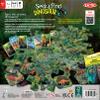 Seek & Find Dinosaur view 2