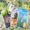 Seek & Find Dinosaur view 4