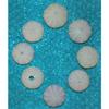 Eight (8) 1 to 3" Purple Sea Urchins Sea Shell Beach Decor Nautical Tropical view 3