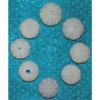 Eight (8) 1 to 3" Purple Sea Urchins Sea Shell Beach Decor Nautical Tropical view 4