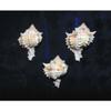 Three (3) 2 to 3" Pink Murex Sea Shell Nautical Beach Decor Tropical view 1