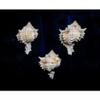 Three (3) 2 to 3" Pink Murex Sea Shell Nautical Beach Decor Tropical view 3