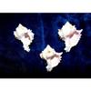 Three (3) 2 to 3" Pink Murex Sea Shell Nautical Beach Decor Tropical view 4