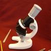Child & Adult Microscope with Accessories, 100x 400x 1200x College Level, STEM view 4