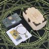 Jayiaine Tarot Cards for Beginners,Oracle Waterproof Cards Deck with Guidebook Prophecy, Fortune Teller Game Set for Family Reunion Expert Reader for Christmas Birthday, Green view 1