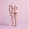 1/6 Scale Female Body,12inch Worldbox Female Joint Flexible Pale Suntan Skin Action Figure Body Collection (Pale Skin, Fat Version) view 3