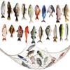 Glenmal 20 Pcs Fish Birthday Party Decorations Gone Fishing String Hanging Banner with 1 Fish Net for Birthday Engagement Retired Outdoor Game Tournament Barbecue Party Backdrop Decor view 1