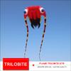 Soft Inflatable Large Red Trilobite Kite for Adults Easy to Fly Show Kites view 3