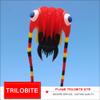 Soft Inflatable Large Red Trilobite Kite for Adults Easy to Fly Show Kites view 4
