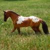 Breyer Horses Freedom Series Red Dun Pintaloosa | Horse Toy | 9.75" x 7" | 1:12 Scale | Model #1053 view 2