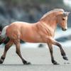 Breyer Horses Traditional Series Sweetwater's Zorah Belle | Horse Toy Model | 12.25" x 8" | 1:9 Scale | Model #1869 view 3