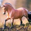 Breyer Horses Traditional Series Sweetwater's Zorah Belle | Horse Toy Model | 12.25" x 8" | 1:9 Scale | Model #1869 view 4