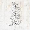 Line Art Flowers Wall Decals - Line Art Flowers Wall Stickers - Minimalist Minimal Floral Silhouette - Car Window Tumbler Laptop Water Bottle Girls Nursery Bedroom Room Home Decor DWSV13410 view 1