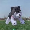 Soft Inflatable Husky Dog Kite Line Laundry for Adults Large Animal Dog Show Kite Pendant view 1