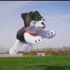 Soft Inflatable Husky Dog Kite Line Laundry for Adults Large Animal Dog Show Kite Pendant view 2