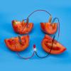 Bio Energy Potato Battery Science Kit STEM Educational Toy for DIY School Experiments and Home Science Projects view 3