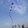 Solid Soft Inflatable 55 Meters Snake Kite with Long Tail for Adults Easy to Fly view 3