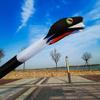 Solid Soft Inflatable 55 Meters Snake Kite with Long Tail for Adults Easy to Fly view 4