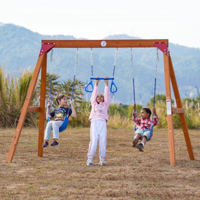 Dolphin Playground Wooden Swing Sets for Backyard, Family DIY Kit for Any Swings, Outdoor Playset for Kids with Trapeze Swing Bar and 2 Belt Swings, Heavy Duty Playground Accessories, Ages 3-10