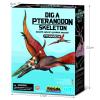 KidzLabs Dig a Pteranodon Skeleton Kit, Fossil Excavation Set, Ages 8+, 1 Piece view 3