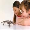 4M Dig a Tyrannosaurus Rex Skeleton - Dinosaur Excavation Kit for Kids Ages 8+, Dig and Build a19cm TRex Model with Tools & Fascinating Facts (Dig a Mosasaurus Skeleton) view 3